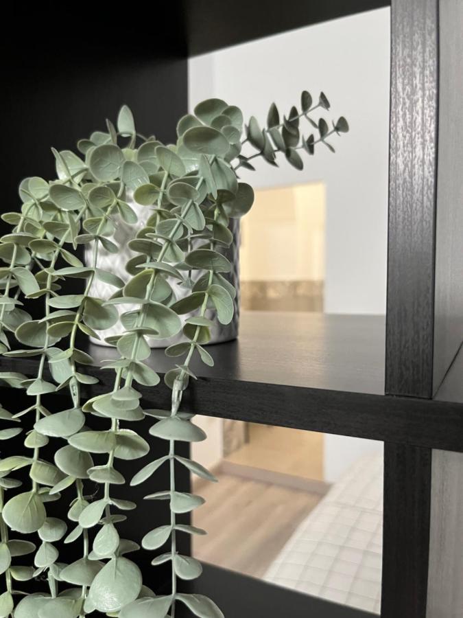 La Alcoba By Casa De Rosita At-Ba-00215 Apartment Fuente del Maestre ภายนอก รูปภาพ